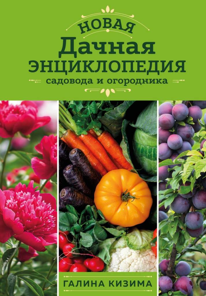 новая дачная энциклопедия.jpg